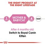 کنسرو غذای مادر و بچه گربه رویال کنین 195 گرم(Royal Canin Mother And Baby Cat) - تصویر 5