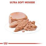 کنسرو غذای مادر و بچه گربه رویال کنین 195 گرم(Royal Canin Mother And Baby Cat) - تصویر 3